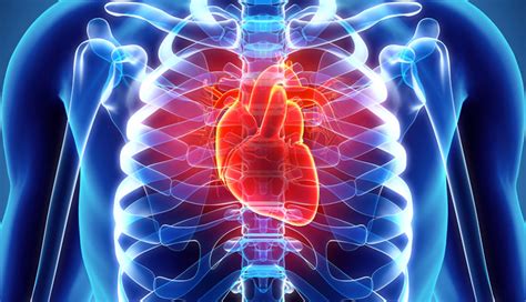 6 Benefits of Eating Pears on Your Health - lifeberrys.com