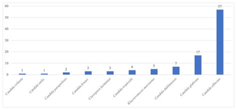 COVID-19 Is a Confounder of Increased Candida Airway Colonisation