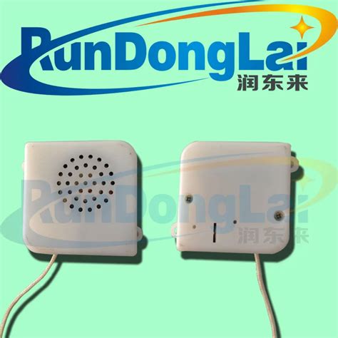 Image result for Pull String Voice Box