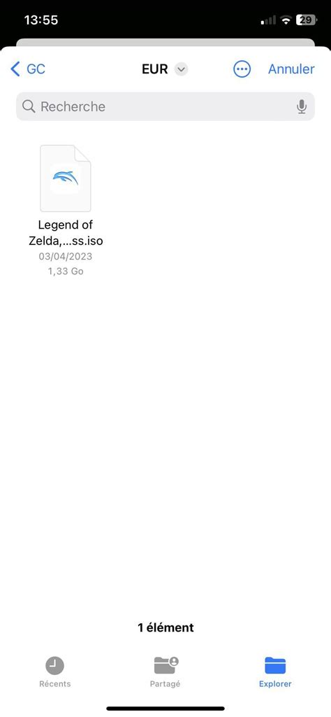 Image result for Dolphin Emulator iOS Error