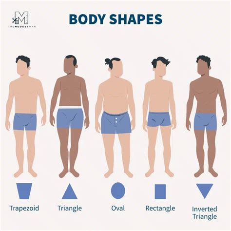 How To Dress for Your Body Type: Any Guy Can Look Great - The Modest Man