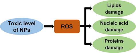 OnlineFirst:Jabonline