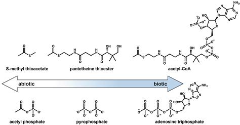 The Grayness of the Origin of Life
