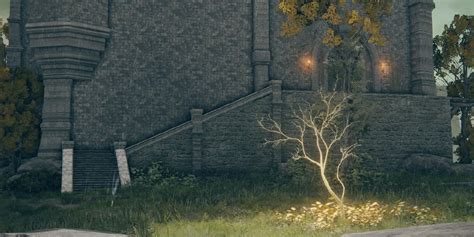 Image result for Crucible Tree Armor Set