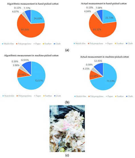Size Calculation Algorithm 的图像结果