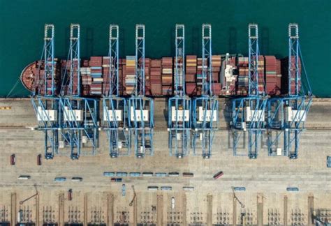 7月份青岛进出口值创历史新高！前7个月青岛市外贸进出口增长5.3%