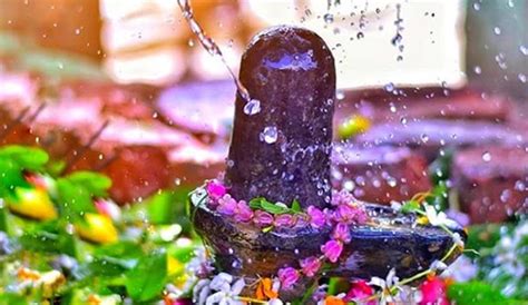 Sawan Shivratri 2020 Best Way For Jalabhishek On Shivling In Sawan ...