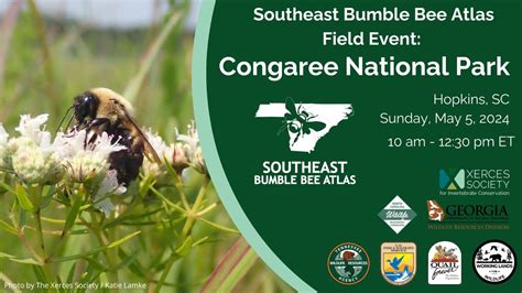 Southeast Bumble Bee Atlas: Congaree National Park Field Event ...
