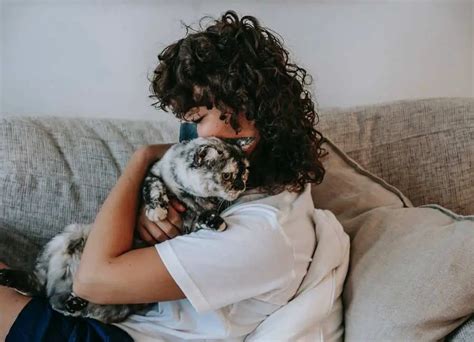 Image result for Cat Affection