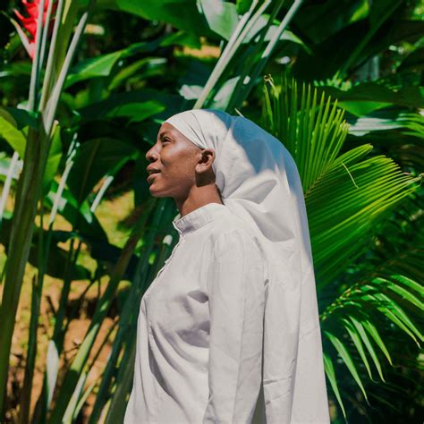 How St Johns Bush Improves Womb Wellness - Akeem Pierre