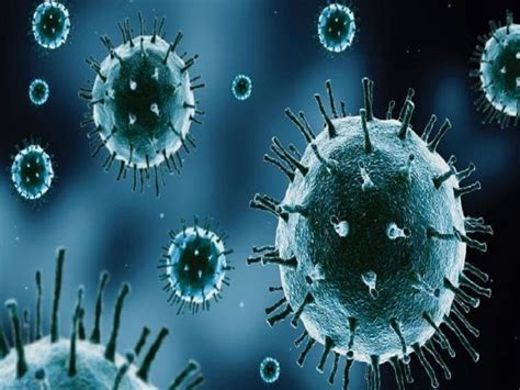 Exponential Decay Model Example 的图像结果