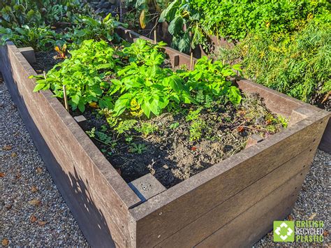 30+ Plastic Raised Bed Garden