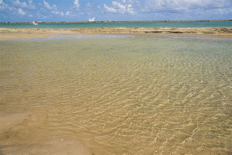 Nature Beach Swimming 的图像结果