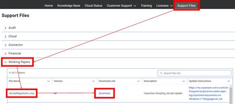Image result for CaseWare Error during Script Execution