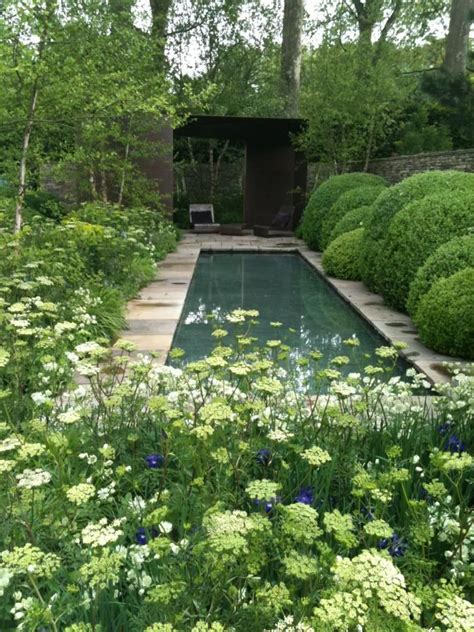 Pool Garden Design 的图像结果