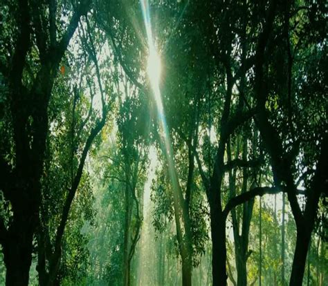 Rema Kalenga Wildlife Sanctuary 5