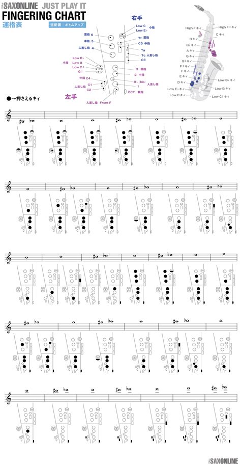 Image result for Client-Side Scripting Language Syllabus
