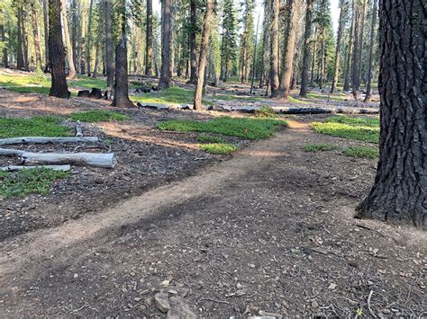 Image result for Stumpy John