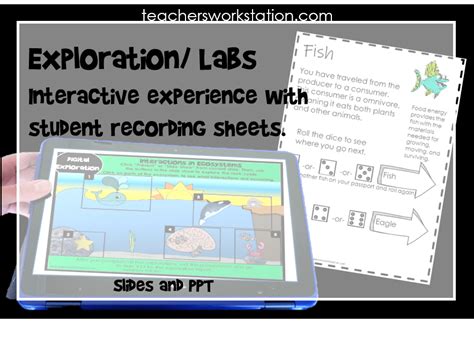 5th Grade Science Lessons 的图像结果