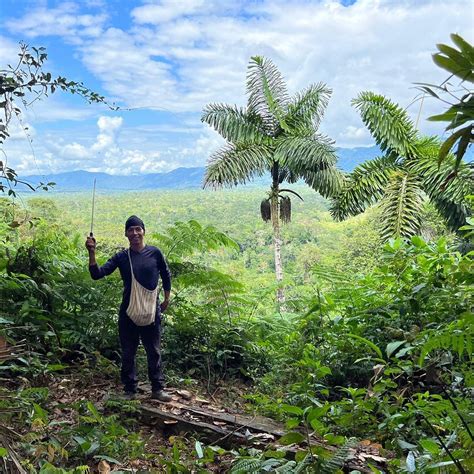 ECOTURISM - RAICES DE LA TIERRA (2025) All You Need to Know BEFORE You ...