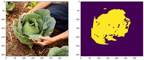 Plant Disease Diagnosis in the Visible Spectrum