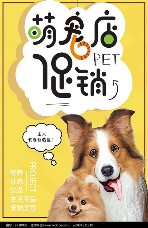 黄色可爱萌宠宠物店促销海报其他素材免费下载_红动网