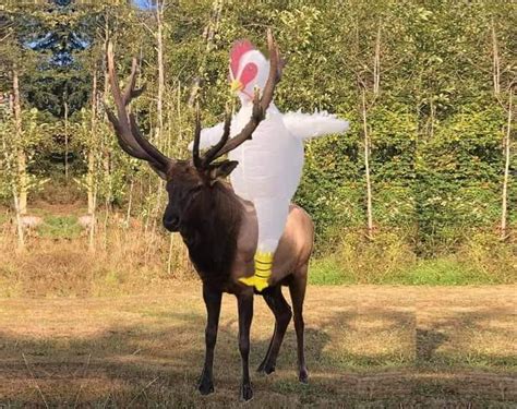 Blood donation in memory of Jim Scullin, South Whidbey Assembly of God ...