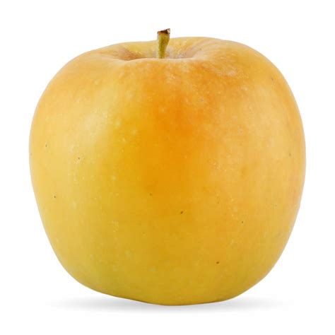 Image result for Apple System.Data