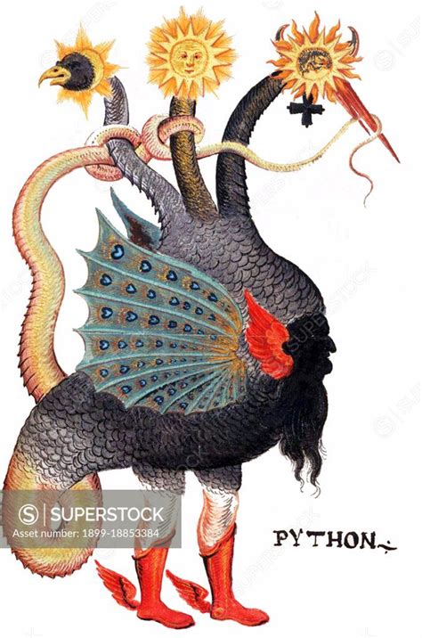 Image result for Python Dragon