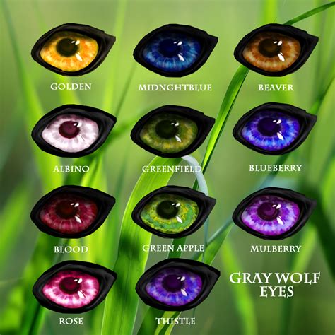 Rare Wolf Eye Colors