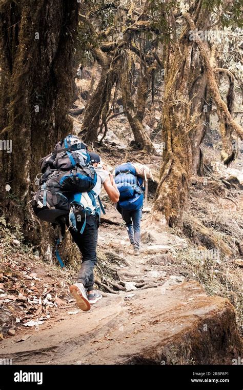 Image result for Two Tree Hiking