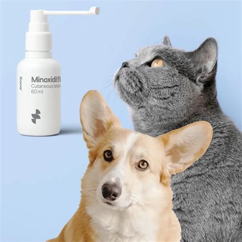 Is Minoxidil Harmful to Pets? - Civas And Akpınar Hair Transplant Clinic