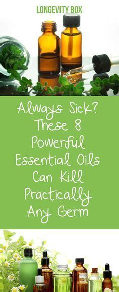essential oils with antibacterial properties