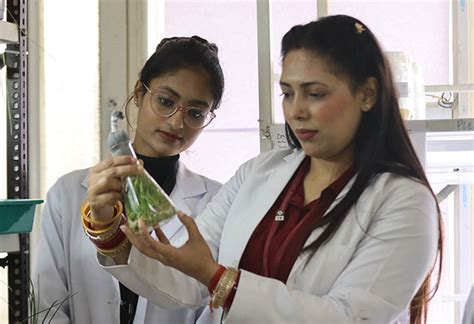 Best BioTechnology Engineering College in Punjab, India - Chandigarh ...