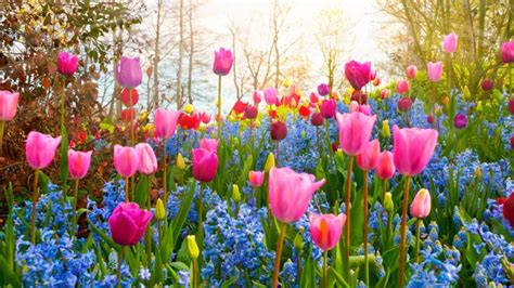 Image result for Spring Makeup Tutorial
