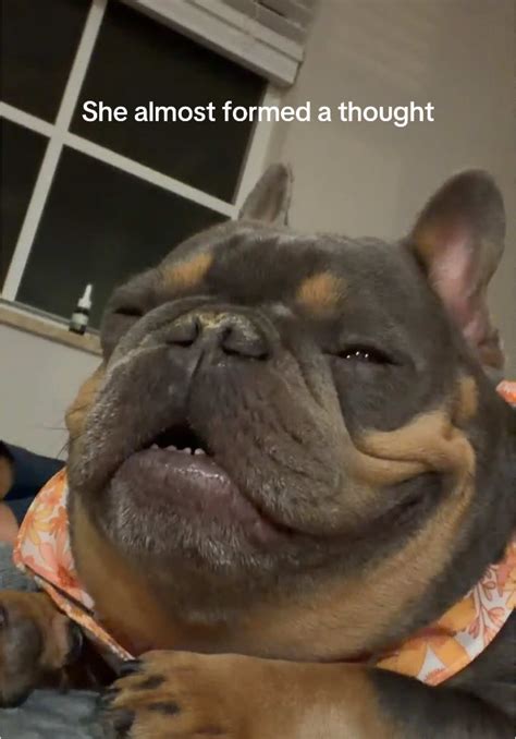 2.52K hearts, 23 shares | Faby Monteiro (@fabythemommy)