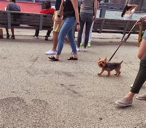 Image result for Practically Neighbors