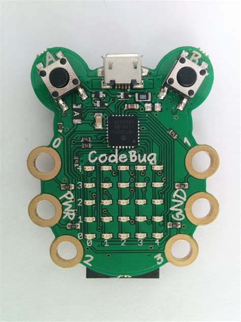 Coding Bug 的图像结果