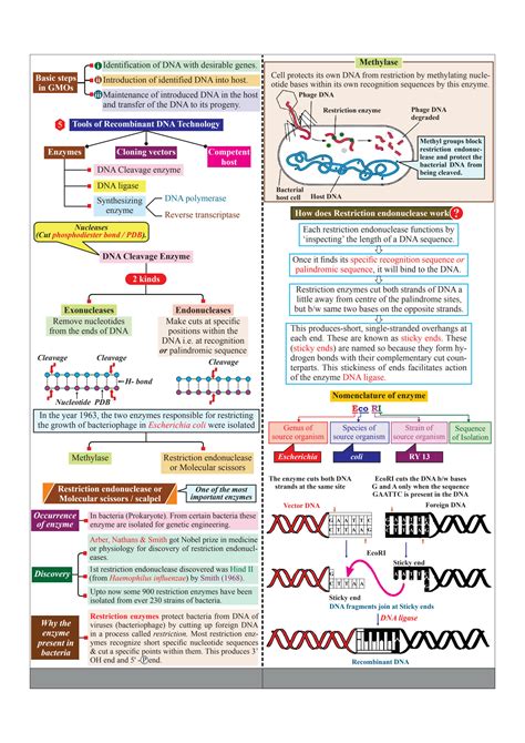 Biotechnology Process 的图像结果