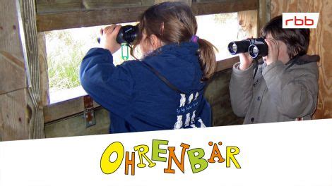 Image result for Sandmann Varna