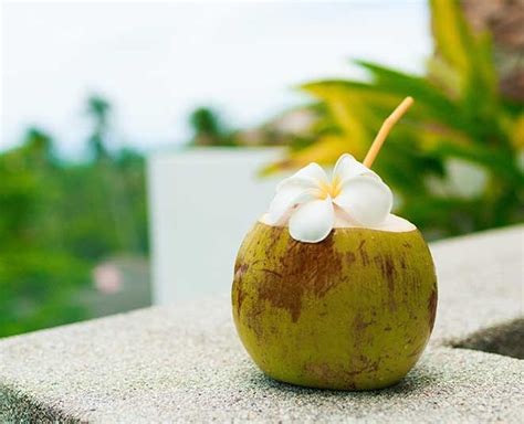 शाम के वक्त नारियल पानी क्यों नहीं पीना चाहिए? | why you should not ...