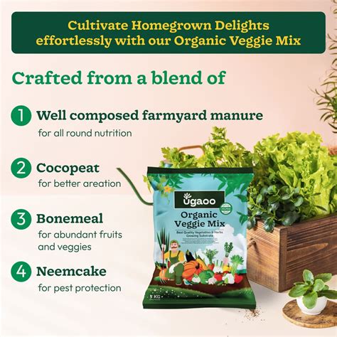 Organic Veggie Mix: Nutrient-Rich Soil Blend for Thriving Vegetables ...