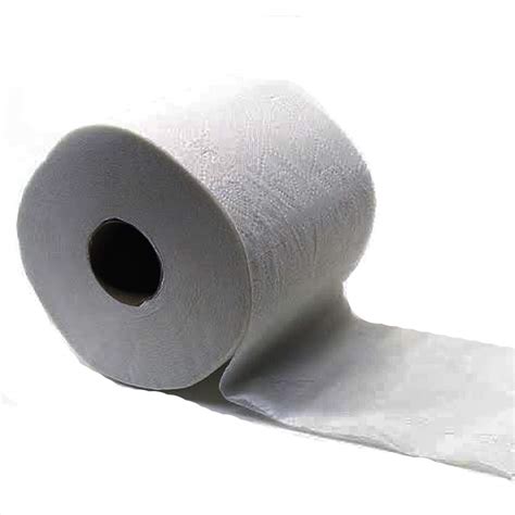 Generic 60GSM 1ply Toilet Paper 10cm Silver Pack of 24 Rolls. : Amazon ...