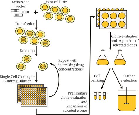 Protein Expression Methods 的图像结果