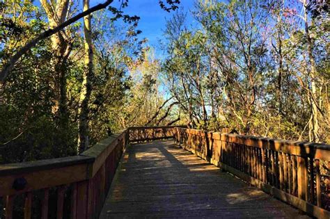 20 BEST Things To Do In Duck, NC - Lost In The Carolinas