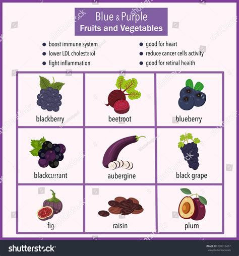 Purple And Blue Fruits And Vegetables 40 Purple Fruits And Vegetables