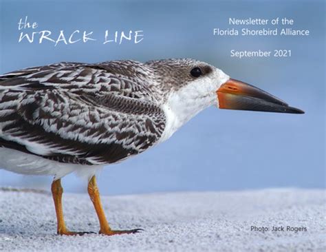 September Wrack Line Newsletter