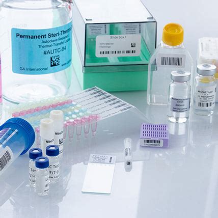 Image result for Un Label Lab