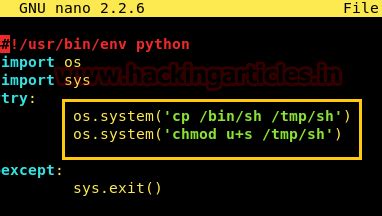 Multiple Ways to Get root through Writable File - Hacking Articles