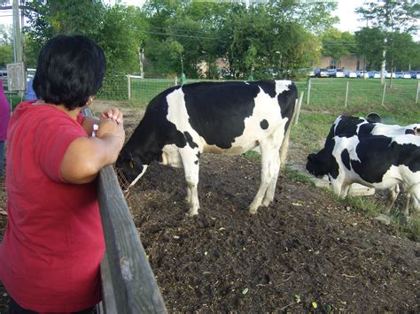 Wagner Farm Celebrates Fall | Glenview, IL Patch
